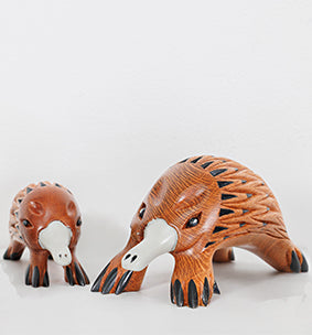 Kel William, Mother Echidna and baby
