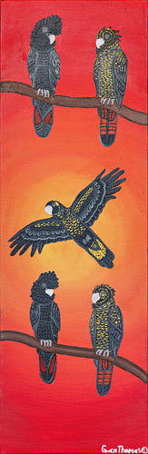 Gwen Thomas 'Black Cockatoo'