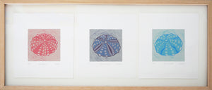 Cecelia Slade 'Beach Treasures ' 2024