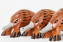Kel William, Mother Echidna and baby