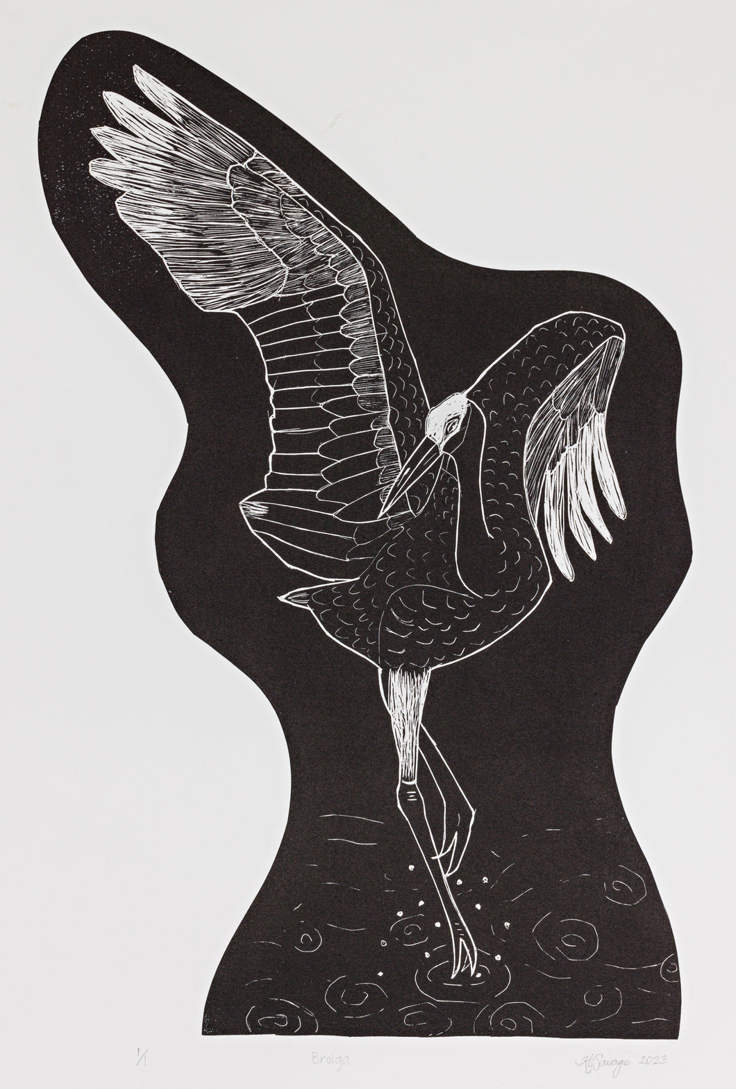Kassandra Savage, 'Brolga'