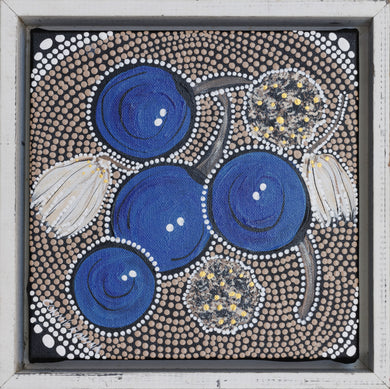 Constance Rovina, 'Blue Quandong'
