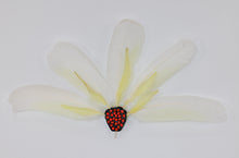 Lisa Michl Ko-manggén (White Cockatoo Headdress)
