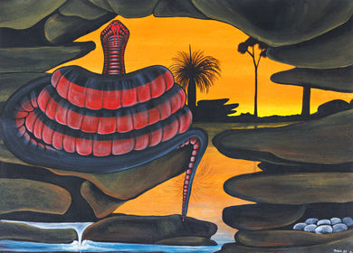Peter Kulla Kulla ' Ira (Red bellied black snake'