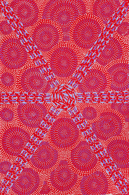 Shane Gibson 'Guuju-Ngay warrgi-gu (Plenty Fish) IV'