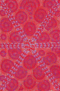 Shane Gibson 'Guuju-Ngay warrgi-gu (Plenty Fish) IV'