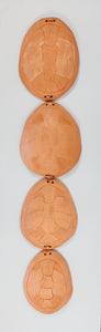 Shenane Jago, Turtle Shells