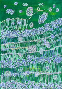 Wanda Gibson 'Fish Trap Among the Rock'