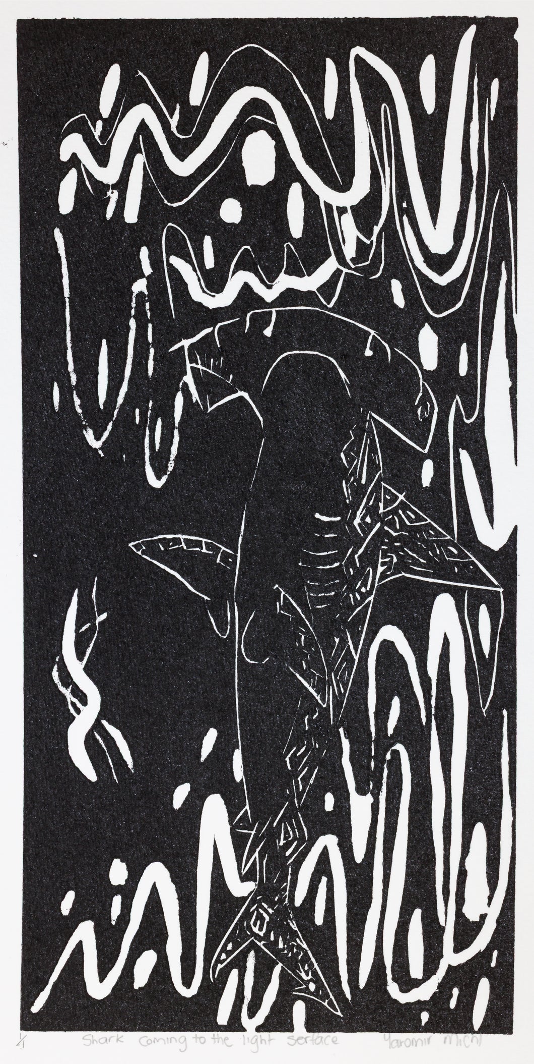 Yaromir Michl; Shark Coming to the light Surface