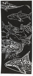 Yaromir Michl; Sharks
