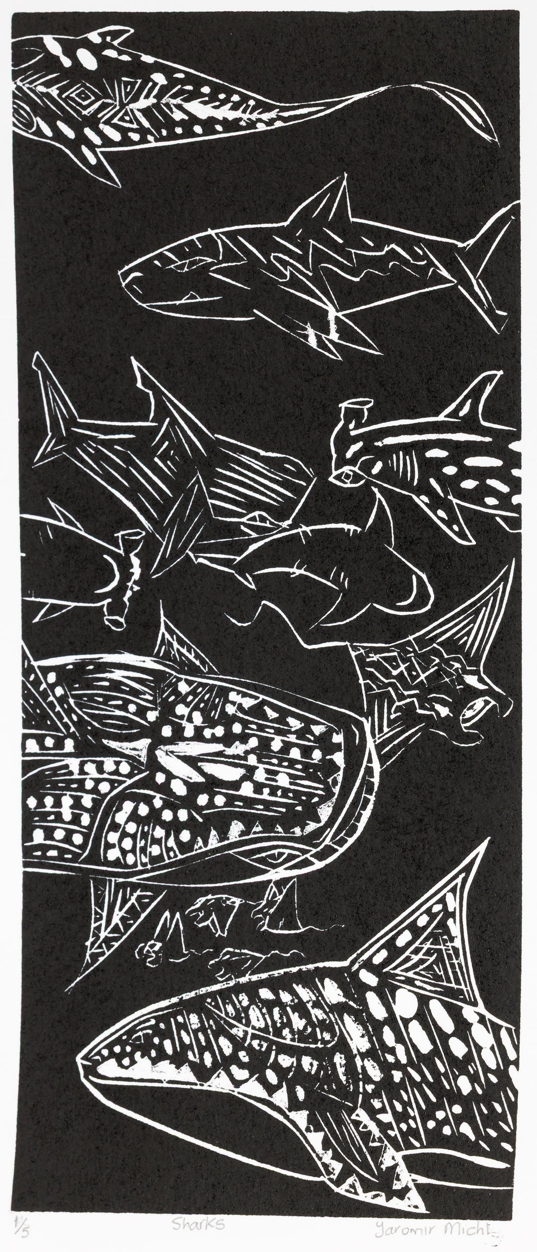 Yaromir Michl; Sharks