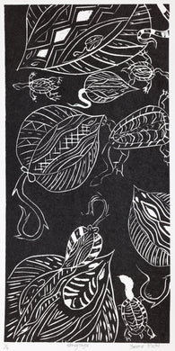 Yaromir Michl; Stingrays