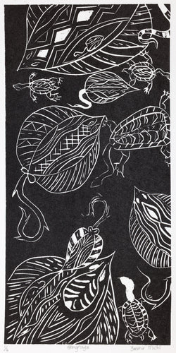 Yaromir Michl; Stingrays