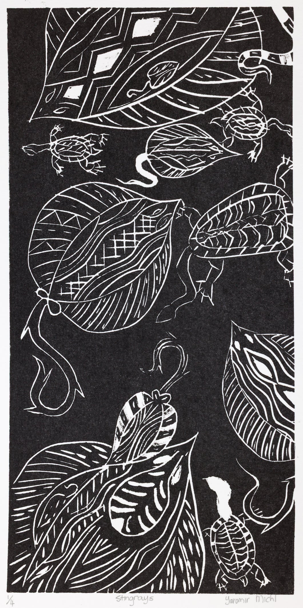 Yaromir Michl; Stingrays
