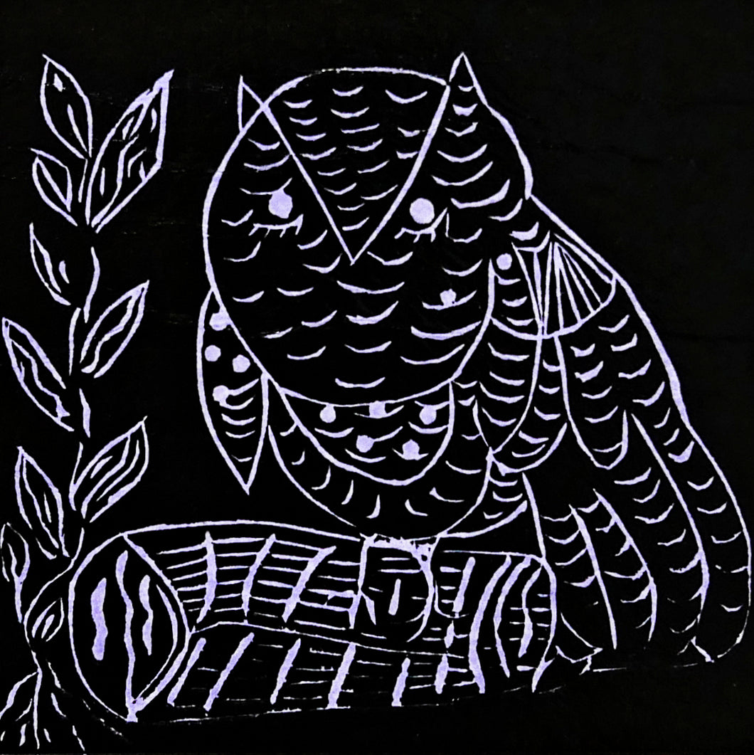 Dorothy Edwards, 'Frogmouth Owl', Linocut print on paper, 15 x 15cm