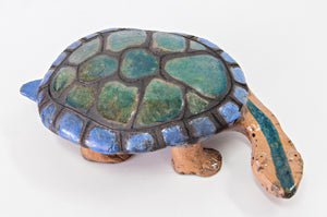 Shenane Jago: Turtle #1