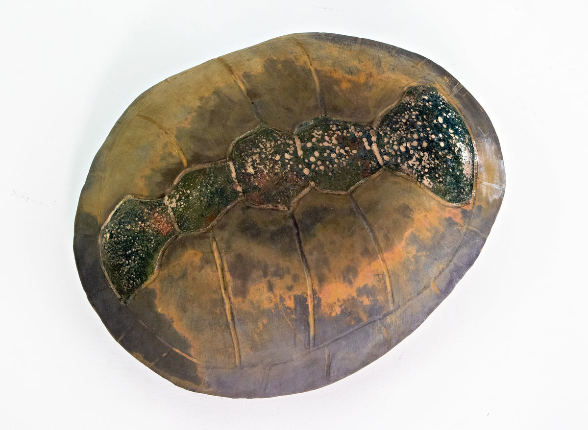 Shenane Jago: Ceramic Turtle Shell #4 – Umi Arts