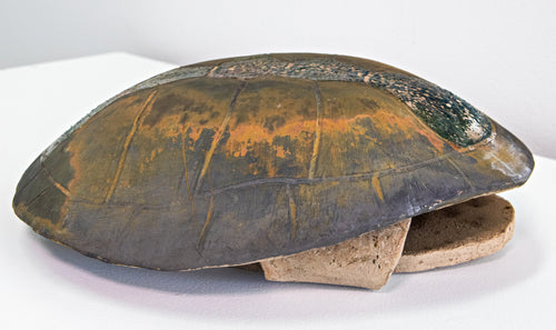 Shenane Jago: Ceramic Turtle Shell #4