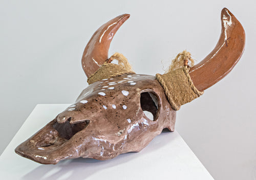 Shenane Jago: Bull Head